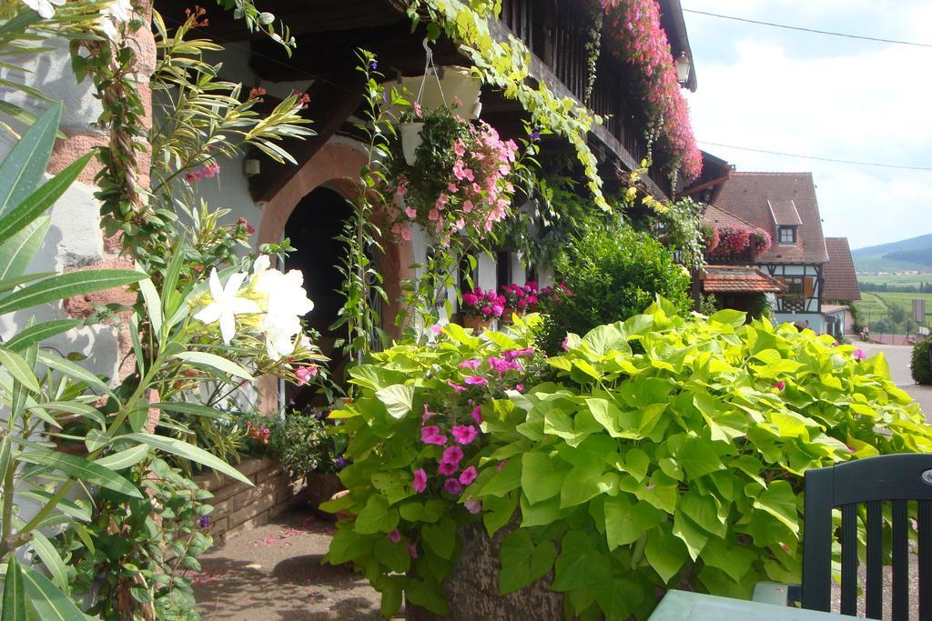 Hotel Kieffer อิทเตอร์วิลเลอร์ ภายนอก รูปภาพ